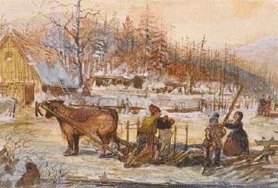 A Winter Scene